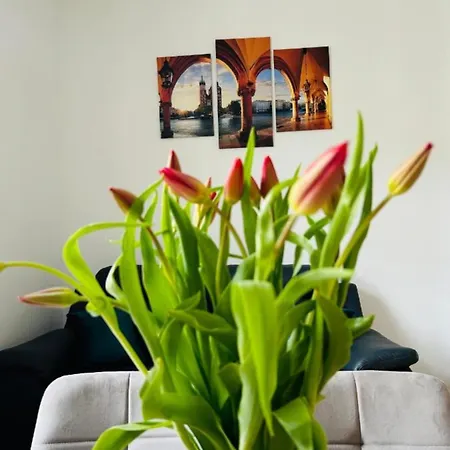 Apartman Divon Old Town